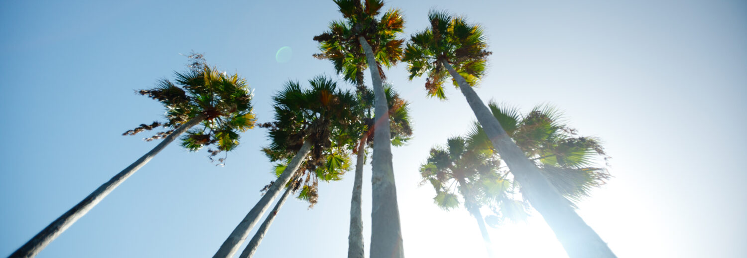 Courtesy of VisitStPeteClearwater.com